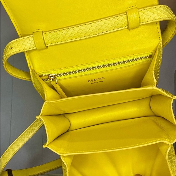 Celine Classic Box Bag Yellow Python Crossbody - Picture 10 of 16